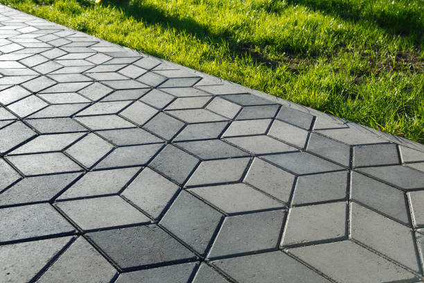 Best Professional Driveway Pavers  in Gladewater, TX